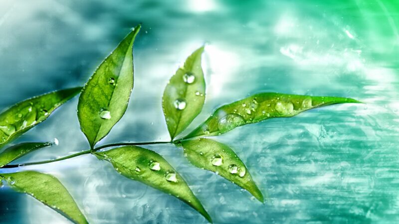 Can Pure Water Be Found in Nature